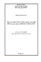 Khảo sát hiện trạng vi nhựa trong loài chíp chíp (paratapes undulatus) phân bố ở vịnh đà nẵng