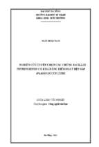 Nghiên cứu tuyển chọn các chủng bacillus thuringiensis có khả năng kiểm soát rệp sáp (planococcus citri)