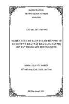 Nghiên cứu chế tạo vật liệu hấp phụ từ xơ mướp và khảo sát khả năng hấp phụ ion cu2+ trong môi trường nước.