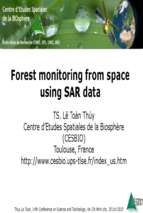 Slide forest monitoring from space using sar data