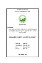 Thực hiện quy trình chăm sóc nuôi dưỡng, phòng và trị bệnh cho chó tại spa shop pet sông công, thái nguyên.