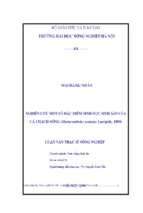 Nghiên cứu một số đặc điểm sinh học sinh sản của cá chạch sông (mastacembelus armatus lacépède, 1800)