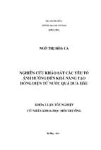 Nghiên cứu khảo sát các yếu tố ảnh hưởng đến khả năng tạo dòng điện từ nước quả dưa hấu.