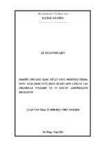 Nghiên cứu khả năng xử lý nitơ, phốtpho trong nước thải chăn nuôi bằng sự kết hợp giữa vi tảo chlorella vulgaris và vi khuẩn azospirillum brasilense