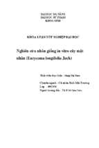 Nghiên cứu nhân giống in vitro cây mật nhân (eurycoma longifolia jack)
