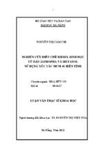 Nghiên cứu điều chế diesel sinh học từ dầu jatropha và metanol sử dụng xúc tác mcm 41 biến tính.