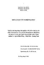 Nghiên cứu ứng dụng thử nghiệm chế phẩm sinh học từ nấm trichoderma và xạ khuẩn streptomyces đối kháng với một số vi nấm gây bệnh trên cây đậu xanh (vigna radiate l.) tại xã điện hồng – điện bàn   quảng nam.