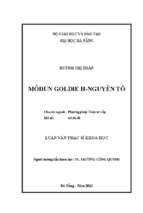 Môđun goldie h   nguyên tố..