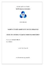 Nghiên cứu điều khiển bước đi cho humanoid 