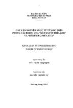 Câu văn nguyễn ngọc tư từ góc nhìn phong cách học qua “gáy người thì lạnh” và “bánh trái mùa xưa”.