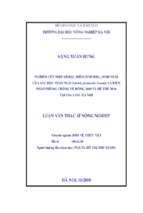 Nghiên cứu đặc điểm sinh học, sinh thái của sâu đục thân ngô ostrinia furnacalis guenée và biện pháp phòng chống vụ đông 2009 và hè thu năm 2010 tại gia lâm hà nội.