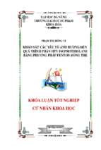 Khảo sát các yếu tố ảnh hưởng đến quá trình phân hủy isoprothiolane bằng phương pháp fenton đồng thể.