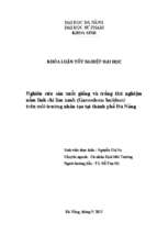 Nghiên cứu sản xuất giống và trồng thử nghiệm nấm linh chi lim xanh (garnodema lucidum) trên môi trường nhân tạo tại thành phố đà nẵng.