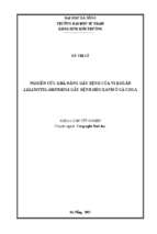 Nghiên cứu khả năng gây bệnh của vi khuẩn lelliottia amnigena gây bệnh héo xanh ở cà chua