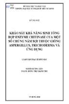 Khảo sát khả năng sinh tổng hợp enzyme chitinase của một số chủng nấm sợi thuộc chủng aspergillus, trichoderma và ứng dụng