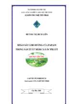Khảo sát ảnh hưởng của papain trong sản xuất mắm cá lóc fillet