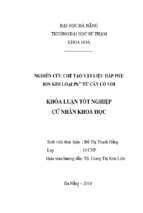 Nghiên cứu chế tạo vật liệu hấp phụ ion kim loại pb2+ từ cây cỏ voi.........