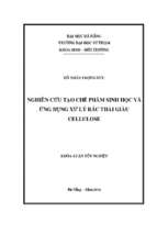 Nghiên cứu tạo chế phẩm sinh học và ứng dụng xử lý rác thải giàu cellulose