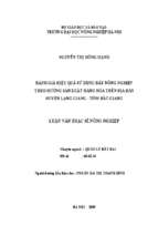 Đánh giá hiệu quả sử dụng đất nông nghiệp theo hướng sản xuất hàng hóa trên địa bàn huyện lạng giang   tỉnh bắc giang