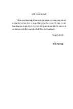 Thực hiện chính sách hỗ trợ thanh niên phát triển kinh tế trên địa bàn huyện phù mỹ, tỉnh bình định”