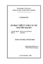Số học trên vành các sô nguyên đại số