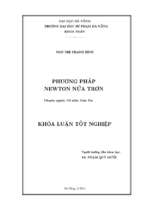 Phương pháp newton nửa trơn.