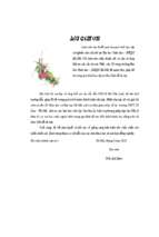 Sử dụng ngôn ngữ lập trình mathematica để giải một số bài toán về năng lượng liên kết và sự phóng xạ của hạt nhân chương trình sách giáo khoa vât lý 12 ban nâng cao.