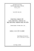 Phương pháp số giải phương trình và hệ phương trình phi tuyến.