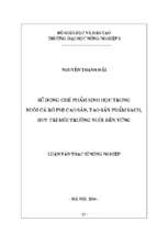 Sử dụng chế phẩm sinh học trong nuôi cá rô phi cao sản, tạo sản phẩm sạch, duy trì môi trường nuôi bền vững