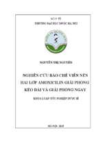 Luận văn nghiên cứu bào chế viên nén hai lớp amoxicilin giải phóng kéo dài và giải phóng ngay​
