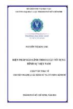 Biện pháp bảo lĩnh theo luật tố tụng hình sự việt nam