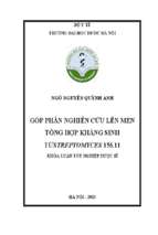 Luận văn góp phần nghiên cứu lên men tổng hợp kháng sinh từ streptomyces 156.11​