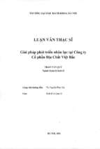 Giải pháp phát triển nhân lực tại công ty cổ phần địa chất việt bắc