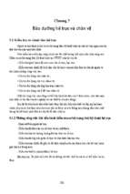 Bảo dưỡng hệ trục và chân vịt 30