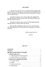 Một số vấn đề pháp lý về bạo lực gia đình ở việt nam hiện nay 37