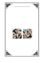 Chính sách marketing về bao gói, dịch vụ khách hàng của sản phẩm bao cao su durex thuộc công ty đại chúng reckitt benckiser_35