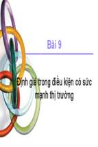 Bài 9 định giá trong điều kiện có sức mạnh thị trường