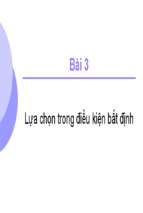 Bài 3 lựa chọn trong điều kiện bất địnhx