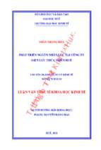 Phát triển nguồn nhân lực tại công ty điện lực thừa thiên huế