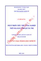 Phát triển tiểu thủ công nghiệp trên địa bàn tỉnh quảng trị