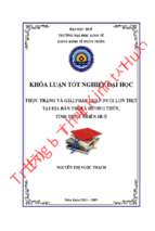 Thực trạng và giải pháp chăn nuôi lợn thịt tại địa bàn thị xã hương thủy, tỉnh thừa thiên huế