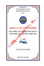 Phát triển công nghiệp nông thôn ở huyện phú lộc, tỉnh thừa thiên huế