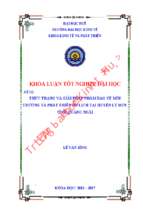 Thực trạng và giải pháp nhằm bảo vệ môi trường và phát triển du lịch tại huyện lý sơn. tỉnh quảng ngãi