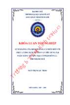 Sự hài lòng của khách hàng cá nhân đối với chất lượng dịch vụ cho vay tiêu dùng tại ngân hàng tmcp đông á – chi nhánh huế