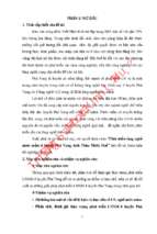 Phát triển làng nghề nước mắm ở huyện phú vang, tỉnh thừa thiên huế