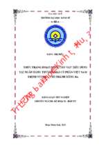Thực trạng cho vay tiêu dùng tại ngân hàng tmcp việt nam thịnh vượng   cn đông ba.