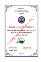 Sản xuất rau an toàn tại thôn trà quế,  xã cẩm hà, thành phố hội an, tỉnh quảng nam