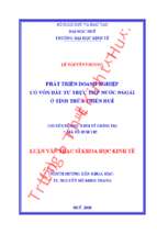 Phát triển doanh nghiệp có vốn đầu tư trực tiếp nước ngoài ở tỉnh thừa thiên huế