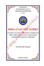 Tác động của chất lượng dịch vụ thanh toán điện tử đến sự hài lòng của khách hàng tại mobifone tỉnh thừa thiên huế.