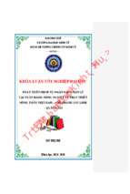 Phát triển dịch vụ ngân hàng bán lẻ tại ngân hàng nông nghiệp và phát triển nông thôn việt nam – chi nhánh gio linh   quảng trị